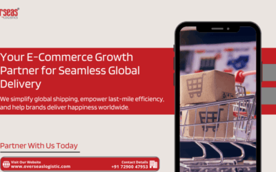 Your E-Commerce Growth Partner: Powering Seamless Delivery for a Borderless World